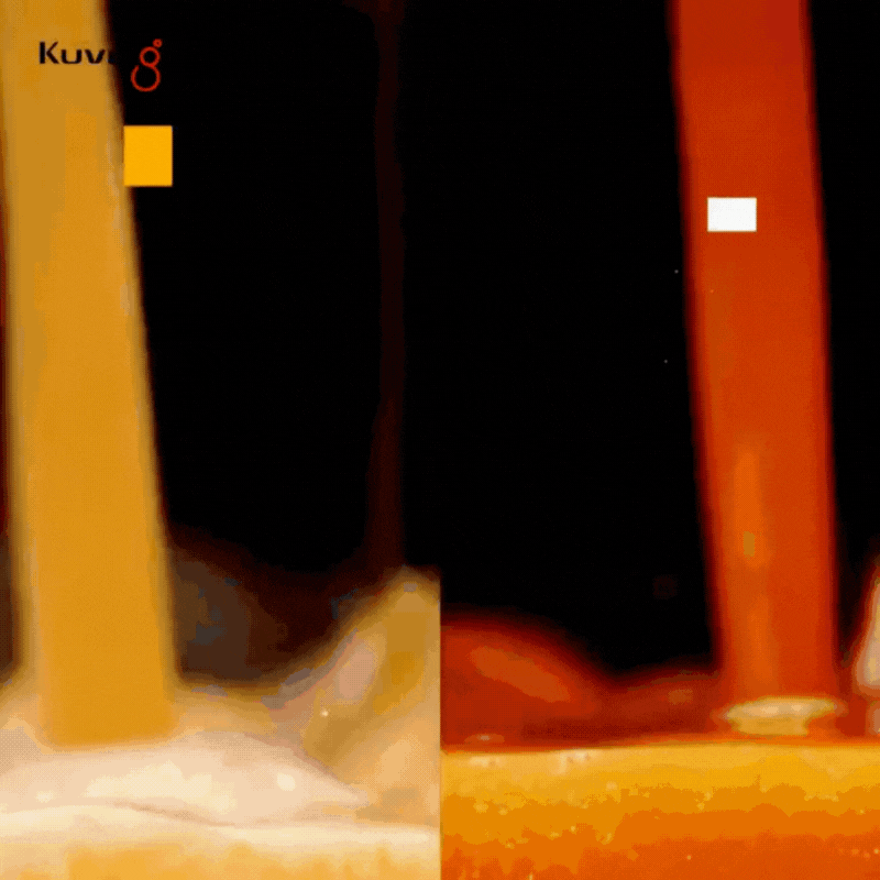 CB1000 Professional Auto Vakuum Blender