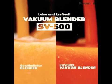 SV-500ME Vakuum Blender