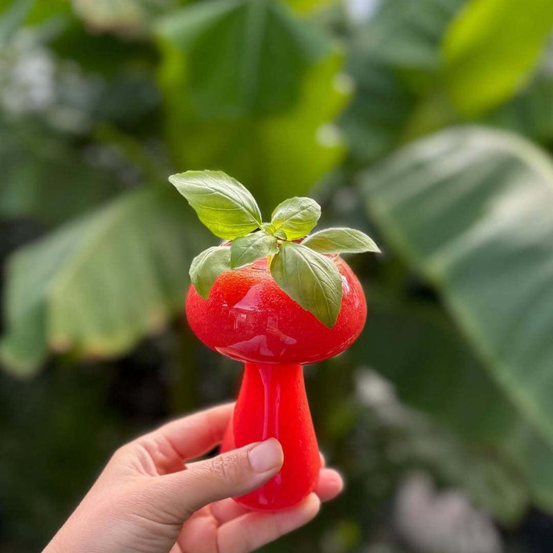 Tomatensaft Rezept