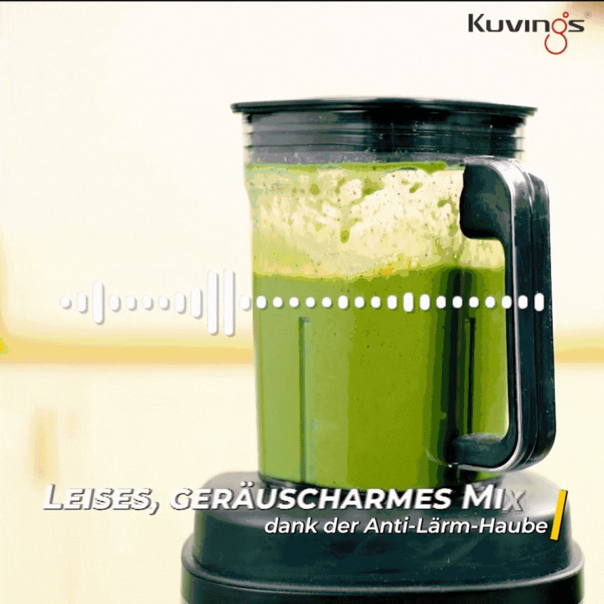 SV-500ME Vacuum Blender