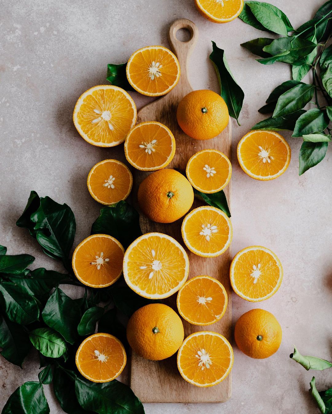 REVO830 citrus juicer